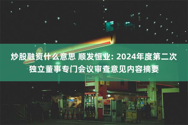 炒股融资什么意思 顺发恒业: 2024年度第二次独立董事专门会议审查意见内容摘要