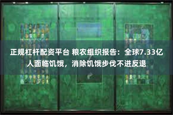 正规杠杆配资平台 粮农组织报告：全球7.33亿人面临饥饿，消除饥饿步伐不进反退